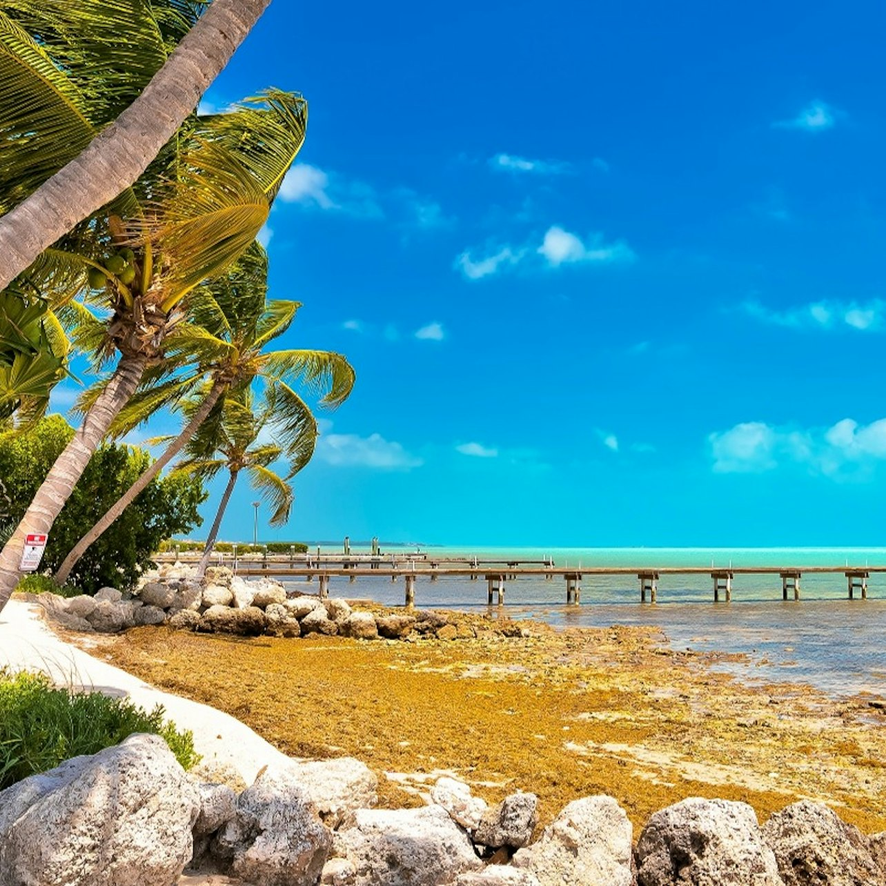 Florida Keys: Self-Guided Driving Tour - Photo 1 of 15